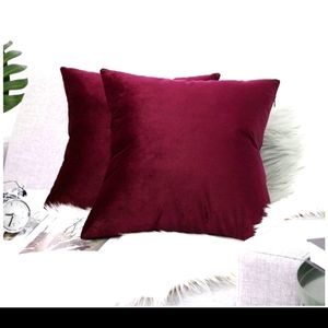 2 22x22in accent pillows